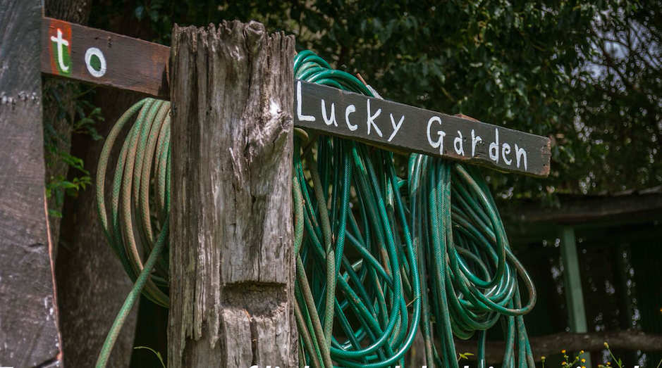  There's a joy in digging your hands in the ground that you have to experience to understand it... 