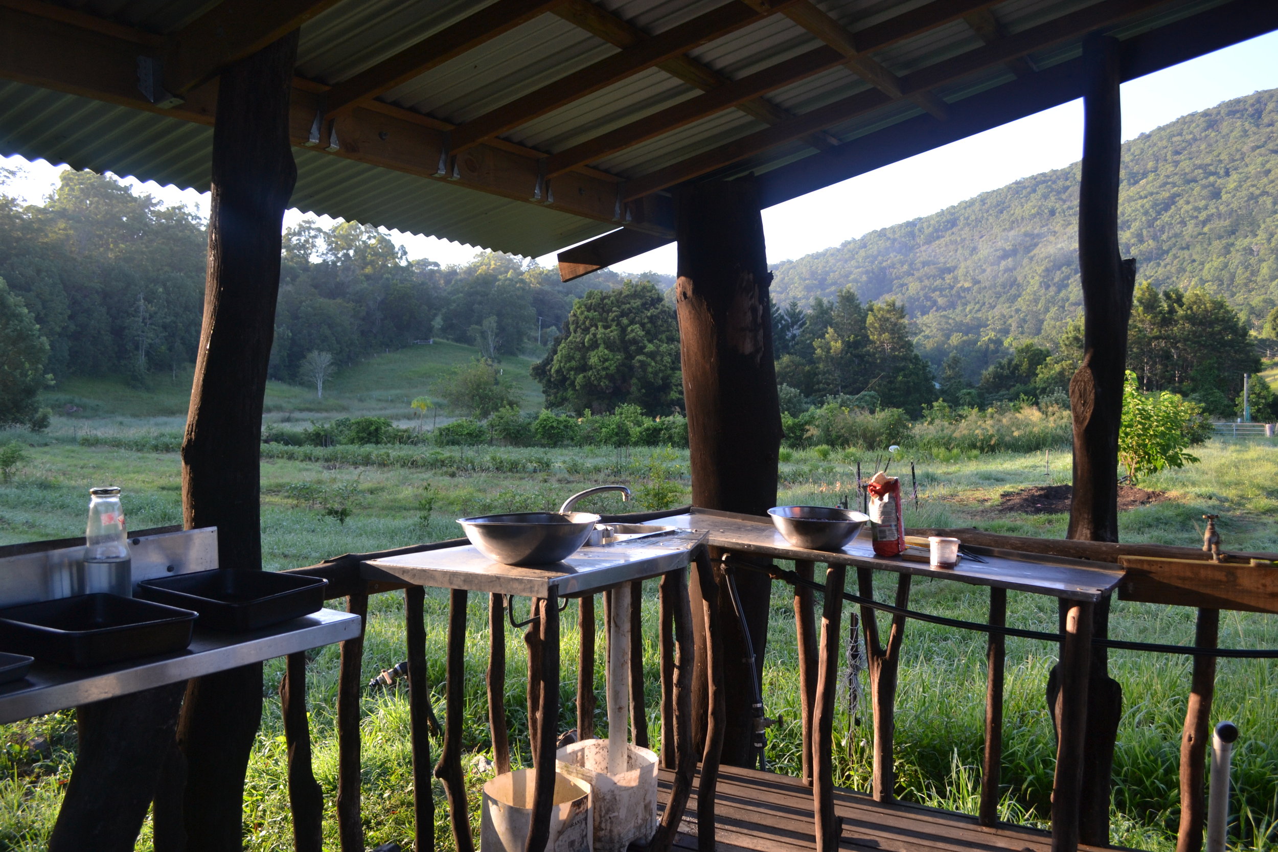  This is what I call 'kitchen with a view'. Me and some of my co-students were making vegan treats for the rest of the group during our Seva on Thursday.  