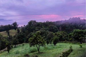 KV landscape 3_small